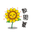 Sunflower and okra（個別スタンプ：1）