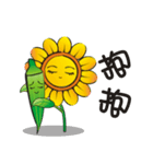 Sunflower and okra（個別スタンプ：4）