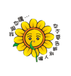 Sunflower and okra（個別スタンプ：29）