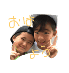 しらたーず（個別スタンプ：1）