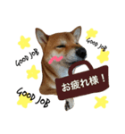り き ☺︎ 3（個別スタンプ：3）