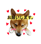 り き ☺︎ 3（個別スタンプ：5）