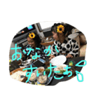 笑顔キラキラ（個別スタンプ：2）