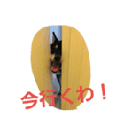 meichan_（個別スタンプ：6）