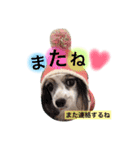 サニームーポロンスタンプ（個別スタンプ：18）