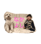 息子ときどき犬（個別スタンプ：3）