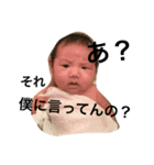 息子ときどき犬（個別スタンプ：10）