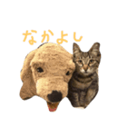 ちゃーる2（個別スタンプ：13）