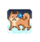 スーパー柴犬SUBA！クリスマスエディション！（個別スタンプ：15）