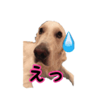 レオ君スタンプ（個別スタンプ：3）