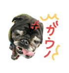 シニア 黒パグぶぶ（個別スタンプ：20）