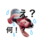 mairchan2（個別スタンプ：1）