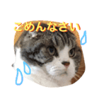 まるとげっぺい（個別スタンプ：1）
