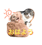 まるとげっぺい（個別スタンプ：2）