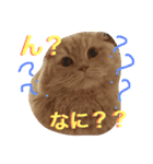 まるとげっぺい（個別スタンプ：6）