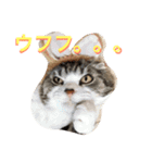 まるとげっぺい（個別スタンプ：9）