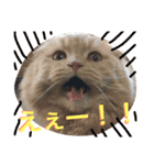 まるとげっぺい（個別スタンプ：12）