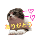まるとげっぺい（個別スタンプ：13）
