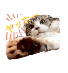 まるとげっぺい（個別スタンプ：14）