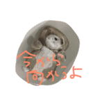 くまちんの日常（個別スタンプ：5）