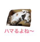 ©️at ＆（個別スタンプ：10）