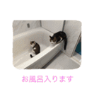 ©️at ＆（個別スタンプ：13）