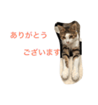 ©️at ＆（個別スタンプ：16）