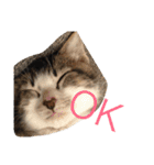©️at ＆（個別スタンプ：18）