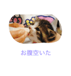 ©️at ＆（個別スタンプ：19）