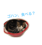©️at ＆（個別スタンプ：23）
