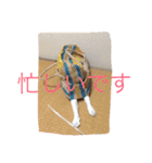 ©️at ＆（個別スタンプ：25）