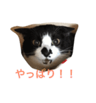 ©️at ＆（個別スタンプ：27）