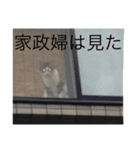 ©️at ＆（個別スタンプ：28）