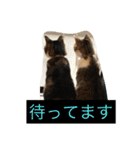 ©️at ＆（個別スタンプ：30）