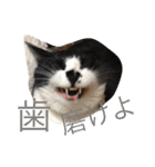©️at ＆（個別スタンプ：32）
