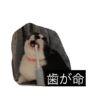 ©️at ＆（個別スタンプ：33）
