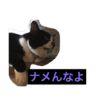 ©️at ＆（個別スタンプ：36）