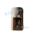 ©️at ＆（個別スタンプ：37）