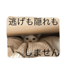 ©️at ＆（個別スタンプ：38）