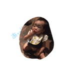 Noas2（個別スタンプ：18）