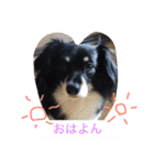 Mokochan everyday（個別スタンプ：1）