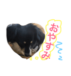 Mokochan everyday（個別スタンプ：2）