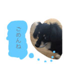 Mokochan everyday（個別スタンプ：4）