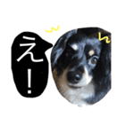 Mokochan everyday（個別スタンプ：5）