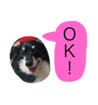 Mokochan everyday（個別スタンプ：6）