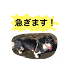 Mokochan everyday（個別スタンプ：7）