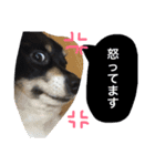Mokochan everyday（個別スタンプ：8）