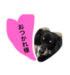 Mokochan everyday（個別スタンプ：9）