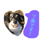 Mokochan everyday（個別スタンプ：10）