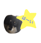 Mokochan everyday（個別スタンプ：14）